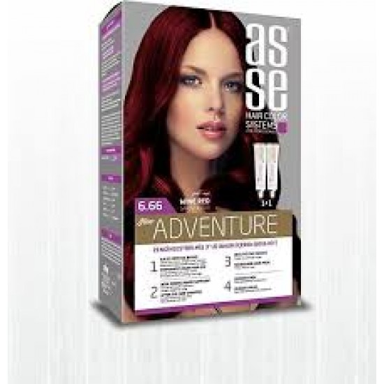 ASSE SAC RENKLERI SETI SARAP KIZIL 6.66-8682943400790