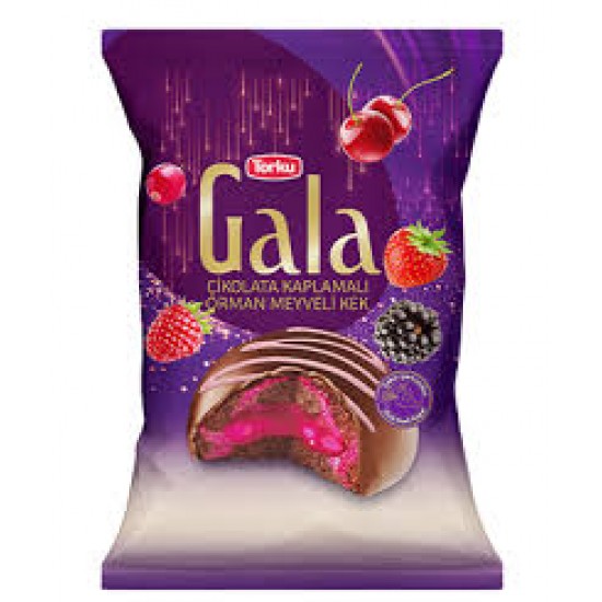 TORKU GALA ORMAN MEYVELI KEK 50 GR*24*405307-8690120082127