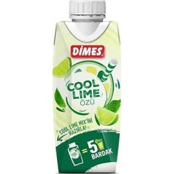 DIMES COOL LIME OZU 310 ML.-8690558037751