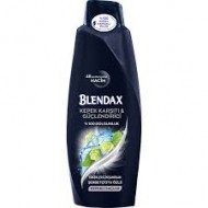 BLENDAX SAMP.MEN 500 ML KEPEGE KARSI-8690572810613