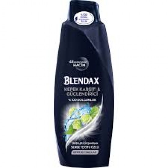 BLENDAX SAMP.MEN 500 ML KEPEGE KARSI-8690572810613