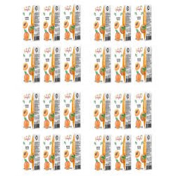 MEYSU 200 ML X 24 LU  KAYISI NEKTARI-8690792026207