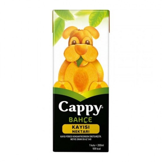 Cappy Meyve Suyu200 Ml Kayısı 
